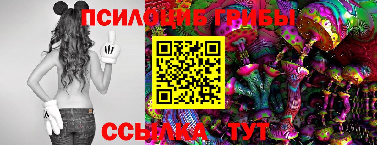 Псилоцибиновые грибы Psilocybine cubensis Коломна