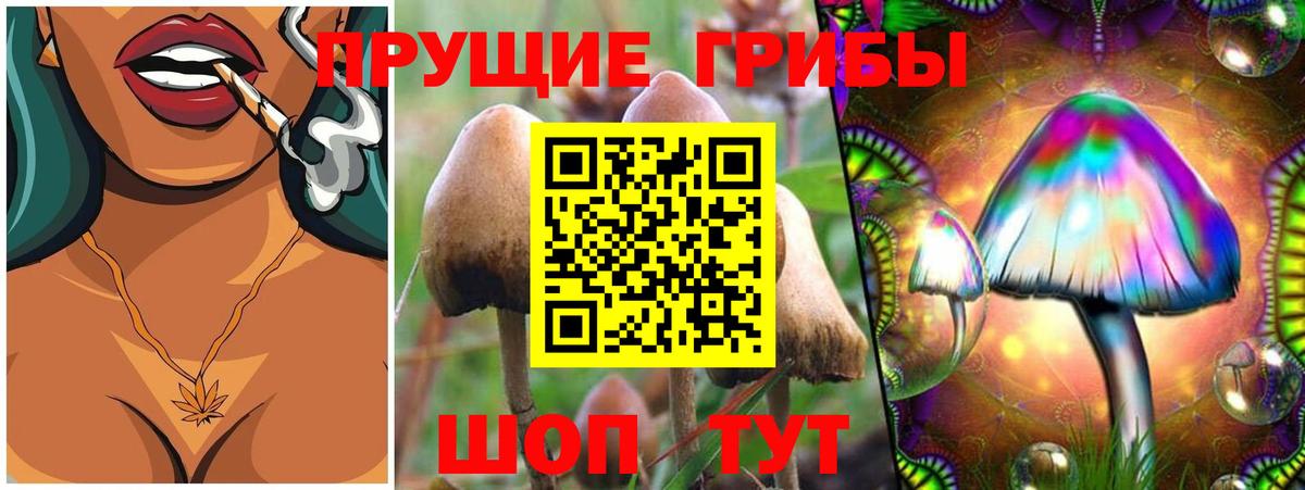 Галлюциногенные грибы мухоморы  Псилоцибиновые грибы Cubensis  Коломна  Вход с VPN 